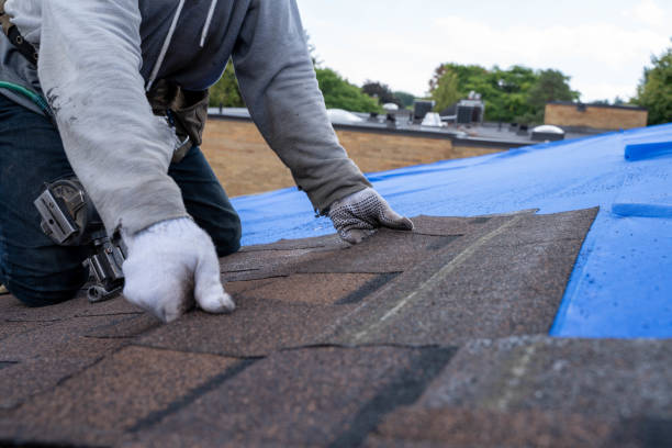 Best Local Roofing Companies  in Mcgovern, PA